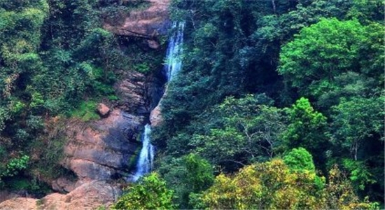 國家AAA級旅游景區(qū)滄源崖畫谷