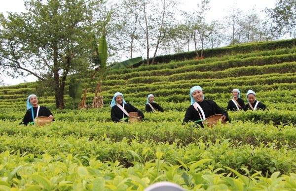 耿馬縣青苗節(jié)