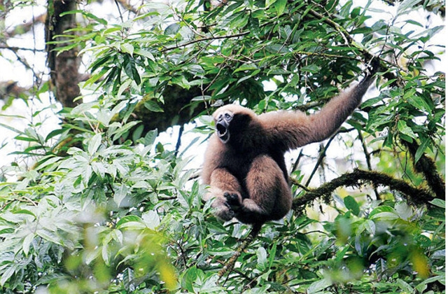 大美云南-----云南臨滄南滾河，原始自然風光驚喜多