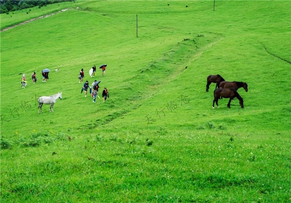 大美臨滄，你到底是個(gè)什么樣的地方？ 