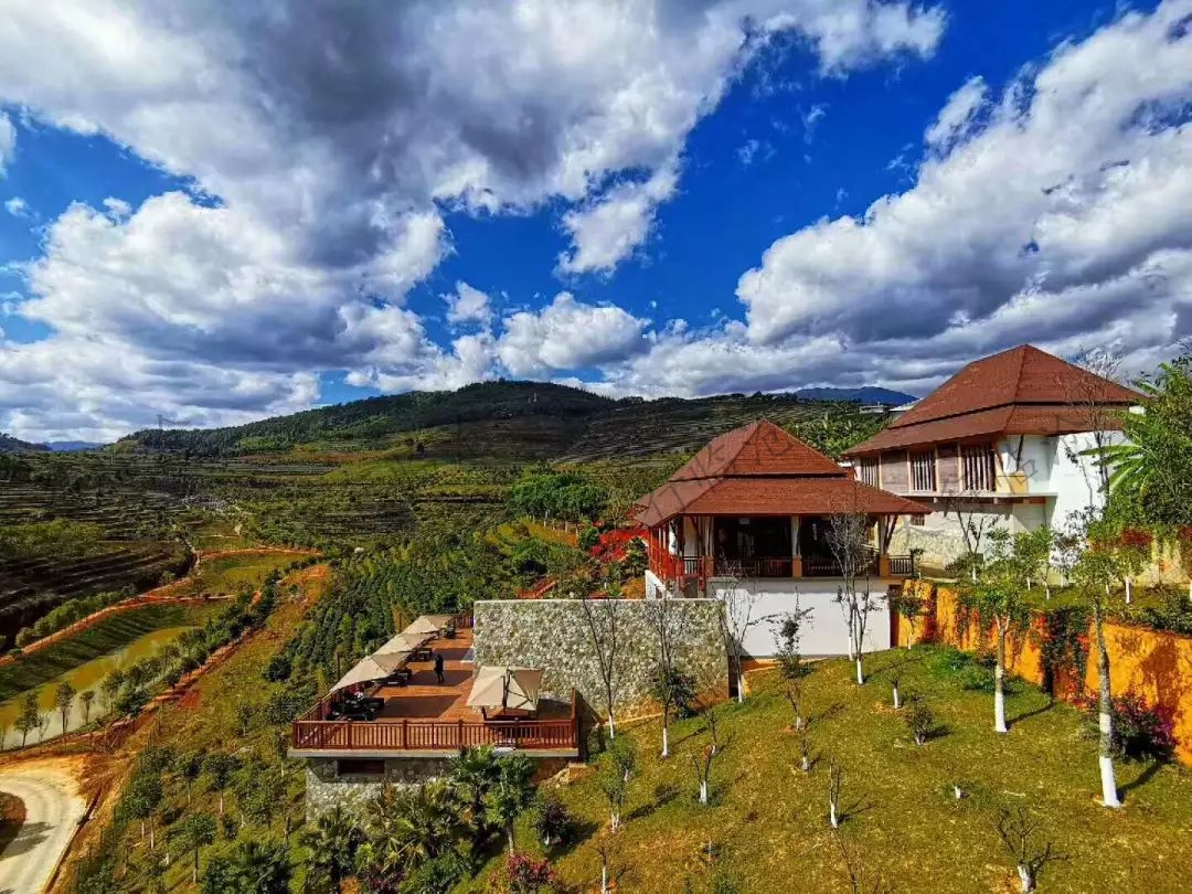 臨滄茶山研學(xué)旅行