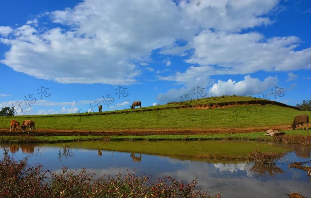 云縣茂蘭鎮(zhèn)撥還河村陳家自然村