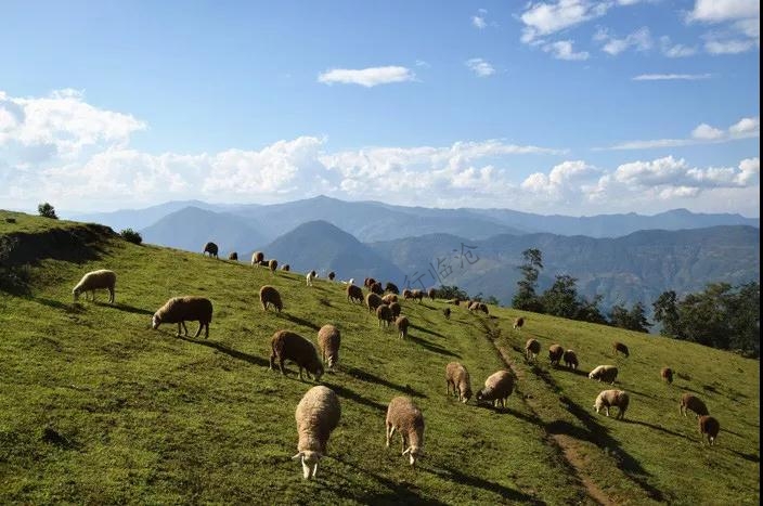 云縣茂蘭鎮(zhèn)撥還河村陳家自然村