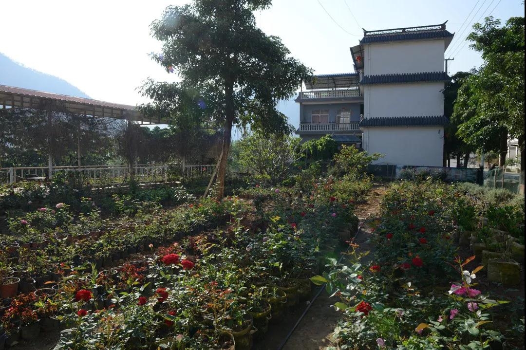 云縣漫灣鎮(zhèn)昔宜村大村自然村