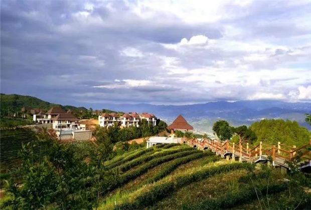 品茶，觀云海，看日出 云頂筑巢茶莊園體驗(yàn)慢生活