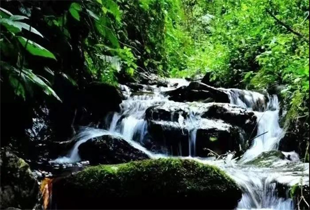 臨滄的秋天，一定要做完這7件事才算完整！