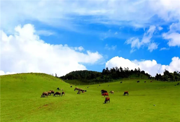 萬畝草山 秘境中的草原