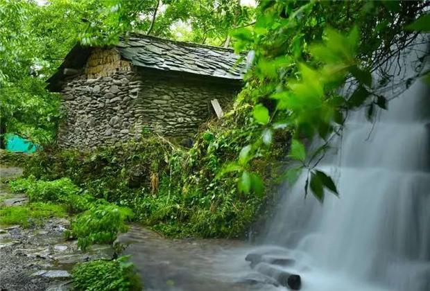 【臨滄茶旅】世外桃源古墨村，喝自己做的茶