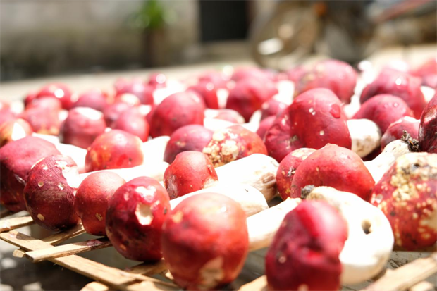 尋味臨滄 | 特色產(chǎn)品助力鄉(xiāng)村旅游發(fā)展