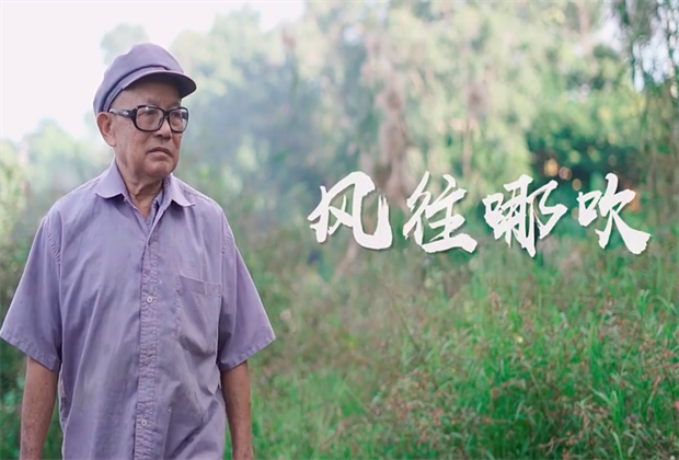 臨滄活動(dòng)策劃｜ 風(fēng)往哪吹