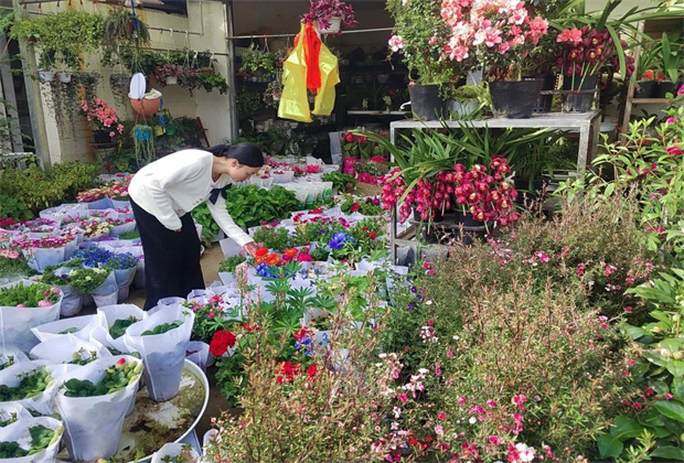 臨滄策劃公司/姹紫嫣紅迎新春 臨翔花市正紅火