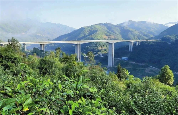 云南旅游,云南旅行社,云南團(tuán)建公司,云南會(huì)議公司,云南策劃公司,臨滄旅游,臨滄旅行社,臨滄團(tuán)建公司,臨滄會(huì)議公司,臨滄策劃公司：DNA動(dòng)了！在臨茶葉祖?zhèn)髅艽a滄解鎖