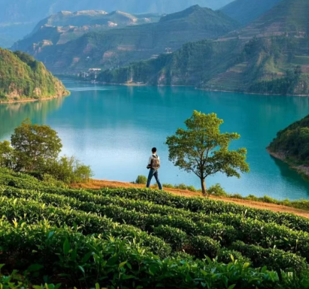 云南團(tuán)建公司,云南策劃公司,云南會(huì)議會(huì)展,云南旅游地接,臨滄旅游,臨滄旅行社,臨滄團(tuán)建公司,臨滄策劃公司,臨滄會(huì)議會(huì)展:當(dāng)北方進(jìn)入寒冬，春天在哪里？---在云南臨滄